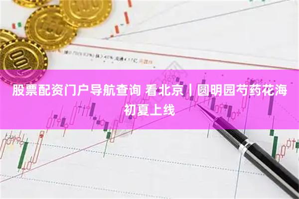 股票配资门户导航查询 看北京｜圆明园芍药花海初夏上线